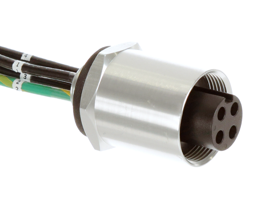 BradPower D-Size (1 3/8”–M35) Receptacle, 1/2" - 14 NPT, 4 Poles, Female (Straight) to 10 AWG Leads, 0.5m (19.7") Length