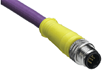 Micro-Change (M12) Single-Ended Cordset, 5 Poles, Male (Straight) to Pigtail, 24 AWG, 1.0m (3.28') Length, PROFIBUS PUR Cable Preferred Version in Europe