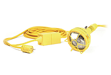 Watertite Wet Location 60W Flood Light with In-line Transformer, Screw Release Guard, 14/2 SOOW, Overall Length 7.62m (50.0')